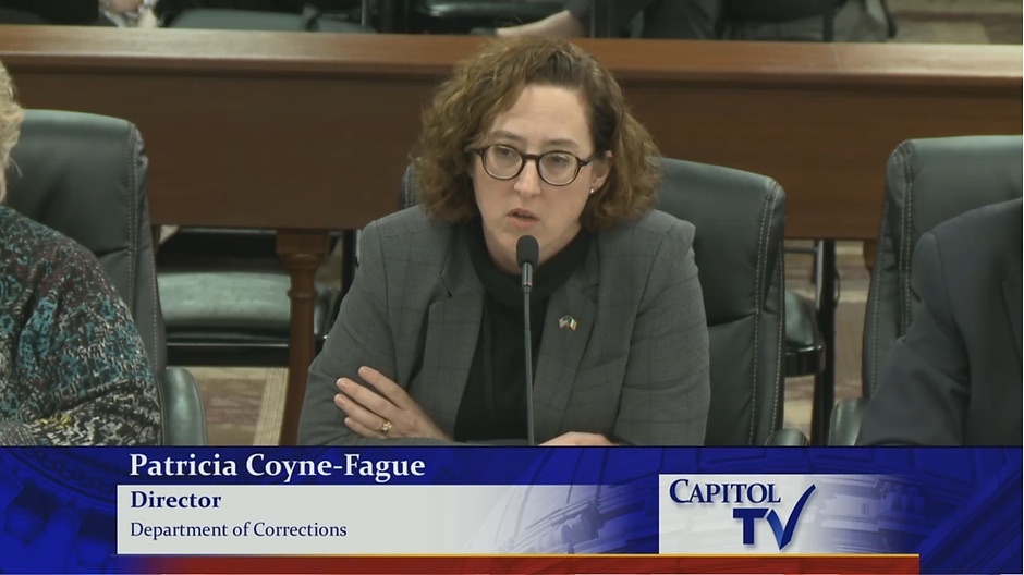 Screenshot of Director Coyne-Fague during House testimony in 2019